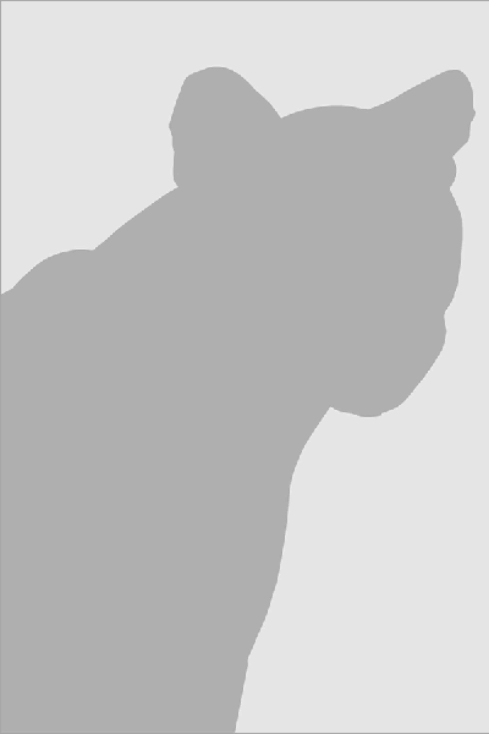 Profile Placeholder Image