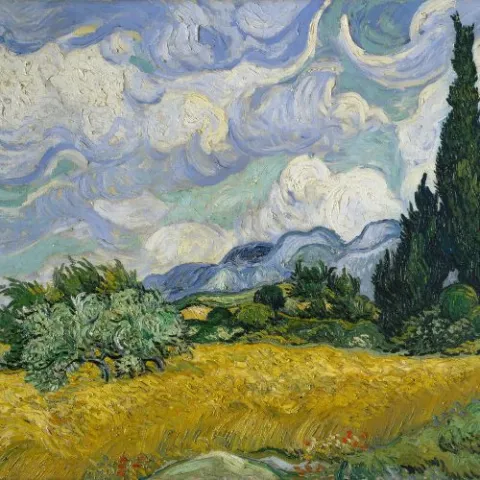 van gogh detail